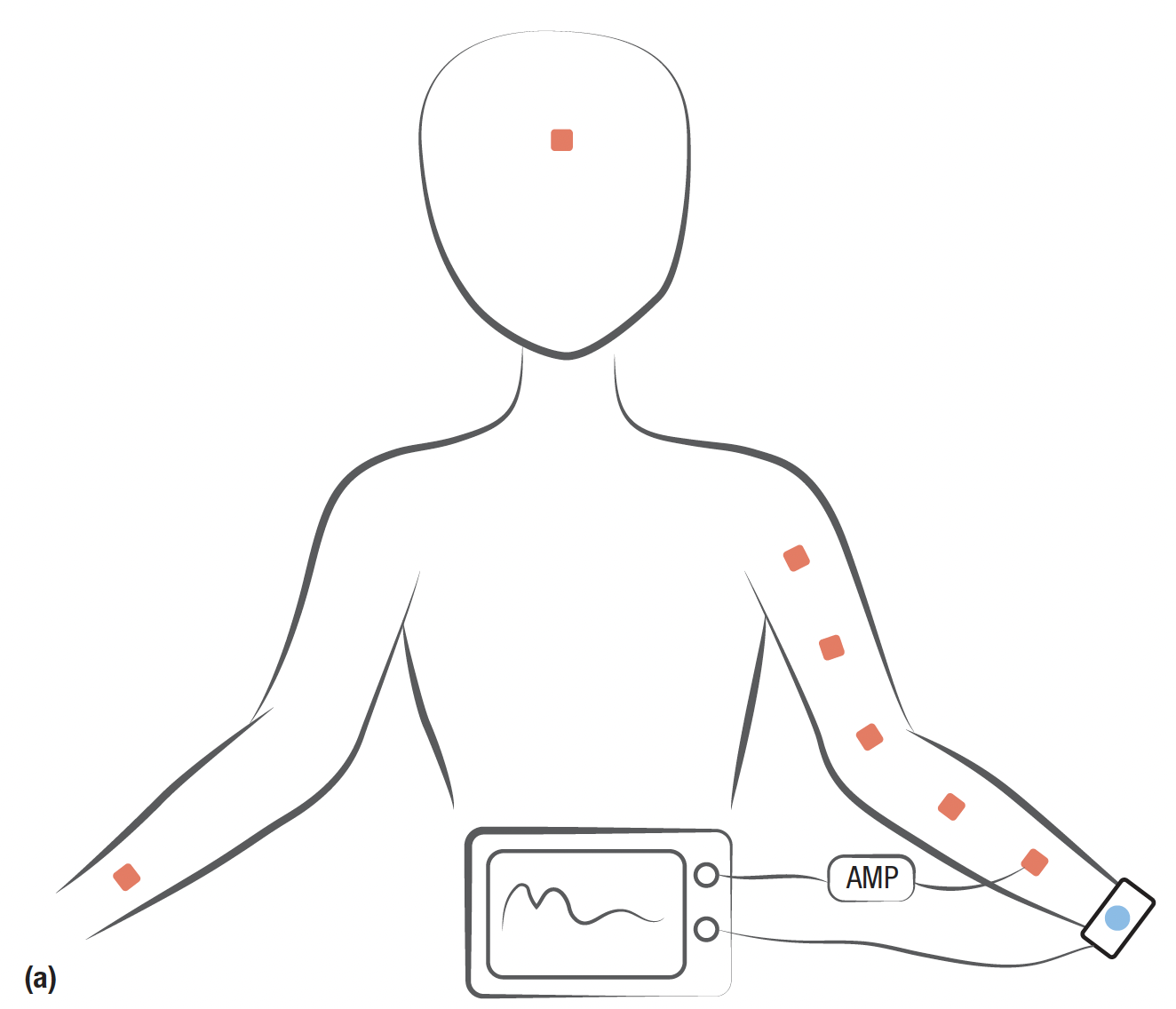 BioAcoustic.jpg